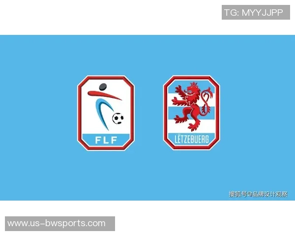 小学生足球队队徽设计与意义探索，展现团队精神与青春活力